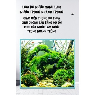 Dung dịch diệt rêu và tảo ( YEE) - CHUYÊN trị rêu và tảo cho bể cá thủy sinh an toàn cho cá và hiệu quả - Cám Cá Store