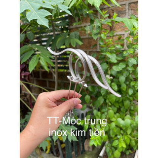 Móc kim tiề.n lồng chim chào mào bản đại