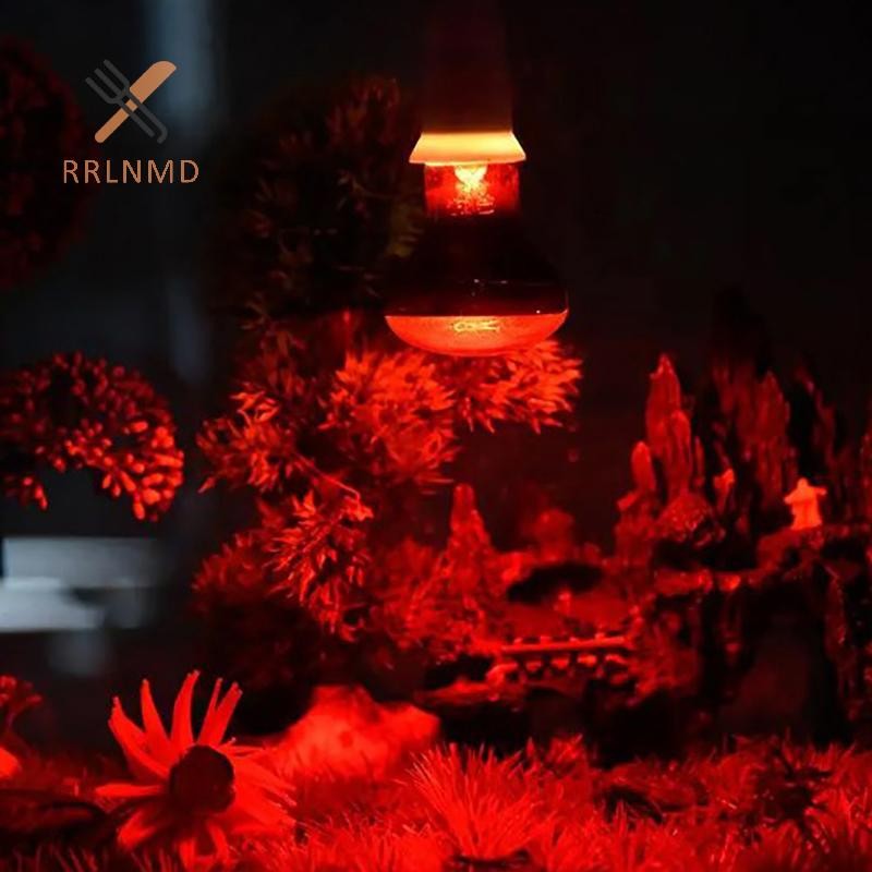 Rrlnmd Pet Red Heag Đèn E27 Đêm Ngày Cho Động Vật lưỡng cư Rắn Đèn Nhiệt Bò Sát Bóng Đèn UV 25W 50W 75W 100W AC220-240V MỚI