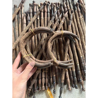 Cầu thẳng thuốc lồng chim, cầu góc thuốc lồng chim chào mào sz37 tiện 2 đầu