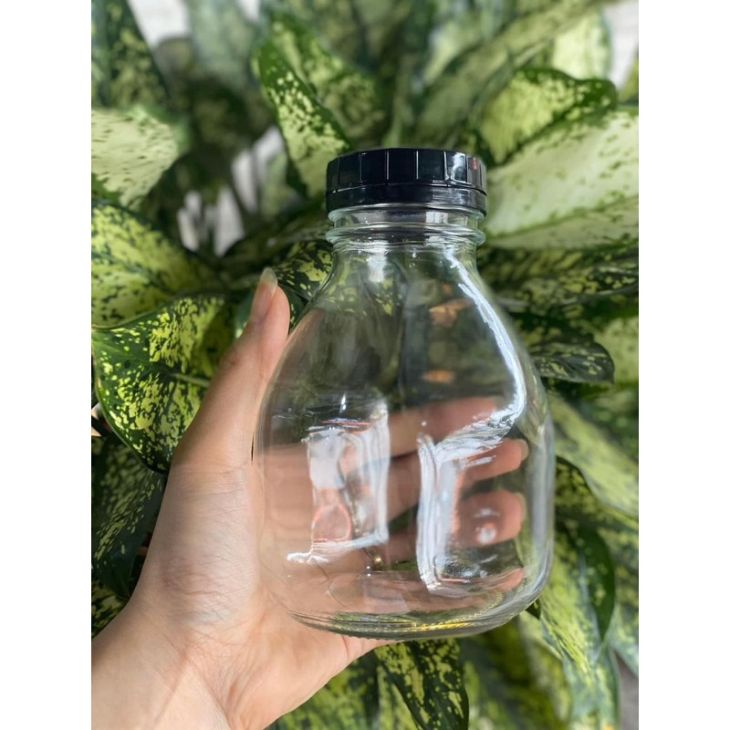 Chai thuỷ tinh vuông dáng lùn miệng rộng đựng nước ép , sữa hạt tiện lợi 300, 500ml