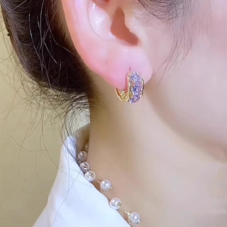 Sang Trọng Siêu Nhấp Nháy Tím Kim Cương Giả Vòng Tròn Khóa Tai Nữ Niche Thiết Kế Tinh Tế Bông Tai Hai Mặt Thời Trang