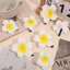 Thời Trang Ngọt Ngào Đi Biển Kỳ Nghỉ Trắng Plumeria Kẹp Tóc - Đẹp Cô Dâu Mũ Phụ Kiện Tóc Cho Nữ