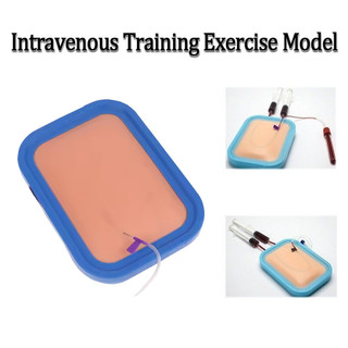 Da Người Venipuncture IV Tiêm Huấn Luyện Silicone Pad Mẫu Venous Blood Vẽ Thực Hành Moudel