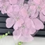 NKSFX Hoa Vải Miếng Dán, Phụ Kiện Quần Áo Ren Hoa Vải Trang Trí Miếng Dán, Lưới Trang Trí Thêu Tay DIY Ren Miếng Dán