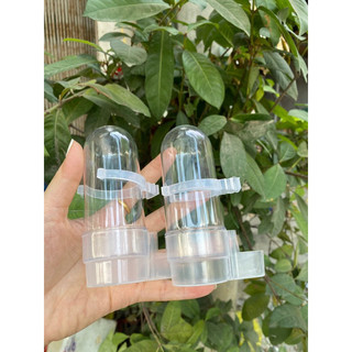 Cóng đựng nước tròn lồng chim chào mào nhựa mica chắc chắn