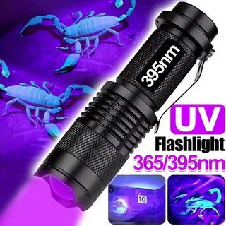 Đèn pin Mini UV Đèn pin cực tím LED 395 / 365nm - Đèn kiểm tra có thể phóng to Chiếu sáng cắm trại ngoài trời