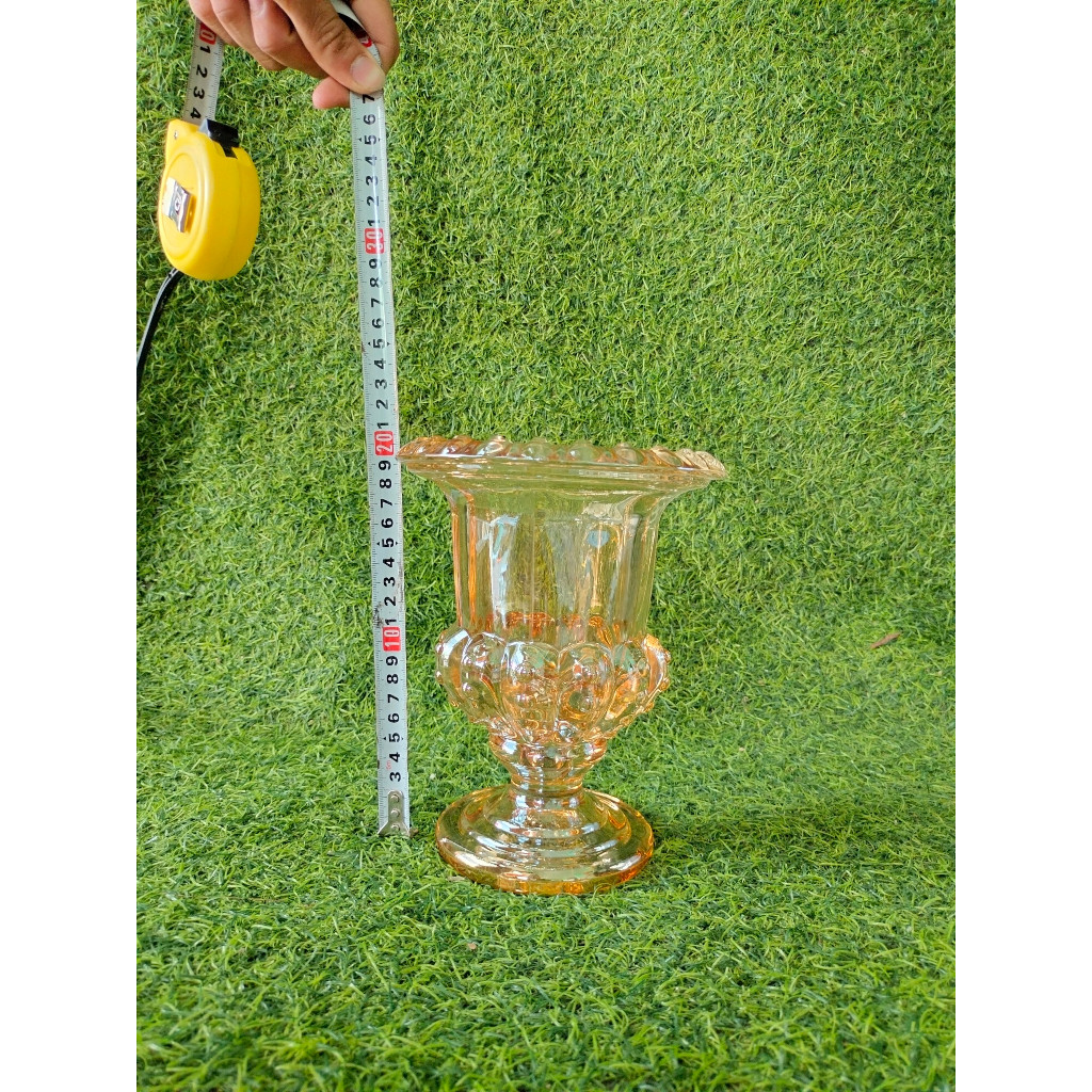 Ly đựng phật thủ cao 25cm, Cốc bày phật thủ thuỷ tinh dày dặn có 3 loại 15cm, 20cm 25cm0