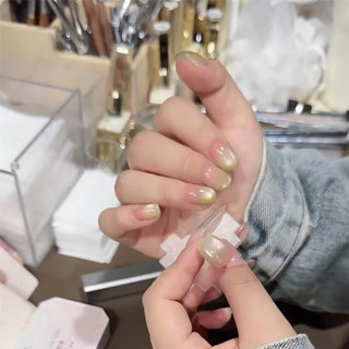 XEIJAYI Gel móng tay mắt mèo nhẹ nước guava, bột từ tính mịn, keo quang trị liệu mắt mèo đóng hộp cho nghệ thuật làm móng cho tiệm nail
