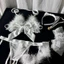 Set Cosplay 5 Chi Tiết Mèo Nhỏ quyến rũ MS1219 [CWEAR.SEXY_ĐỒ NGỦ & NỘI Y CAO CẤP]
