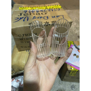Cóng chống vẩy thuỷ tinh lồng chim chào mào, mi, khuyên, yến