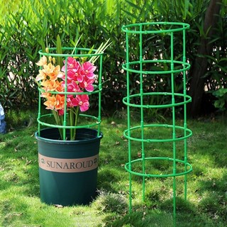 Cây Vườn Hoa Đứng Hình Bán Nguyệt Nhà Kính Sắp Xếp Giá Đỡ Cây Nho Leo Chân Đế Cây Cảnh Dụng Cụ