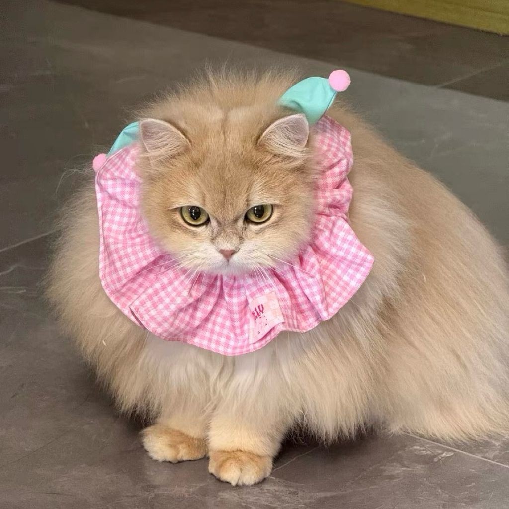 Khăn choàng thú cưng Khăn nước bọt Khăn choàng chó mèo dễ thương có thể điều chỉnh