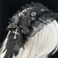 GODD Gothic Gothic Gothic Gothic Wing Băng đô có thể điều chỉnh Mũ đội đầu Punk dành cho nữ Cô gái
