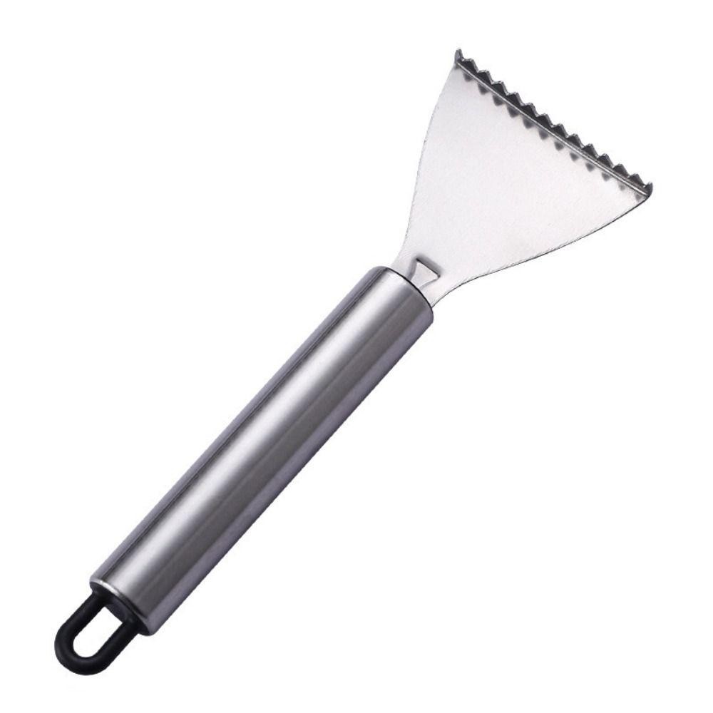 Dụng cụ loại bỏ vảy cá CAST, Dụng cụ cạo vảy cá dễ dàng di chuyển bằng thép không gỉ, Nhanh chóng chuẩn bị cá Tay cầm mịn Dụng cụ hải sản Dụng cụ hải sản