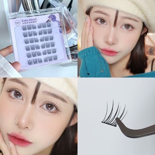 Mặc du lịch Hỗn hợp Hoa hướng dương Lười Bộ ba phân đoạn tự nhiên Lông mi giả dày uốn cong