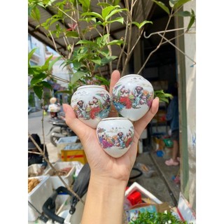 Bộ 3 chiếc cóng sứ decal loại 1 phụ kiện lồng chim Hoạ Mi, Khướu, chòe than, chòe lửa cao cấp