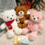 Rytanda Gấu Nhỏ Đồ Chơi Sang Trọng Mô Phỏng Dễ Thương Trái Tim Ôm Khăn Gấu Nhỏ Búp Bê Mềm Làm Đầy Động Vật Búp Bê Thích Hợp Cho Trẻ Em Bạn Gái Sinh Nhật Quà Tặng Giáng Sinh Trang Trí Phòng Ngủ