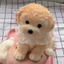 DELMER Đồ chơi bóp búp bê cho chó lớn, Đồ chơi bóp chó mô phỏng hoạt hình phục hồi chậm, Đồ chơi thú cưng mềm đầy màu sắc vui nhộn dành cho chó trưởng thành
