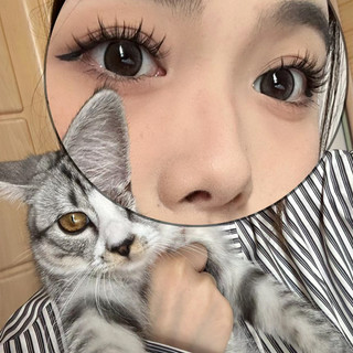 Lông mi giả kiểu Fox và Dog, kiểu châu Âu và Mỹ, lông mi dày kiểu Fox Cat
