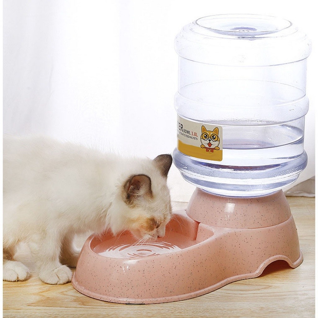 Bình uống nước tự động và bát ăn tự động cao cấp cho chó mèo 3,8 lít có thể tháo rời không trượt