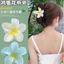 Kẹp tóc hoa trứng, Mũ đội đầu nhóm dân tộc Xishuangbanna Dai, kẹp tóc, kẹp cá mập nữ, Chụp ảnh bên bờ biển kẹp móng tay hoa quả quả táo