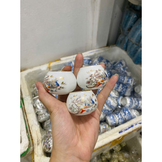 Cóng Chim chào mào cao cấp, cóng giáp vàng