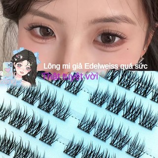 Mi giả tự nhiên Edelweiss mới, mười hàng, dung tích lớn
