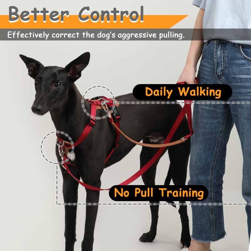 HIDREAM Không Kéo Chó Dây Da Có Thể Điều Chỉnh Áo Vest Thú Cưng Để Đi Bộ Dễ Dàng Với 2 Dây Xích Kẹp Nhỏ Vừa Chó Lớn