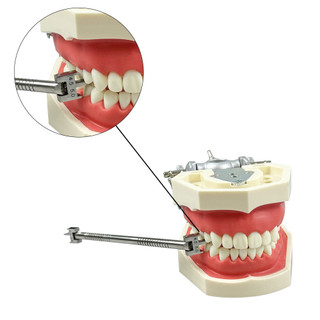1 Cái Nha Khoa Chỉnh Nha Chân Đế Định Vị Đồng Hồ Đo Vị Trí Có Thể Điều Chỉnh Thép Không Gỉ Chân Đế Định Vị Dụng Cụ Nha Khoa