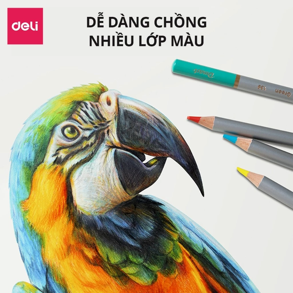 [TẶNG GỌT+TẨY] Bút Màu Chì Gốc Dầu Dmast Cao Cấp Deli - Chì Hộp Thiếc Màu Đậm, Blend Tốt, Ruột To 4.
