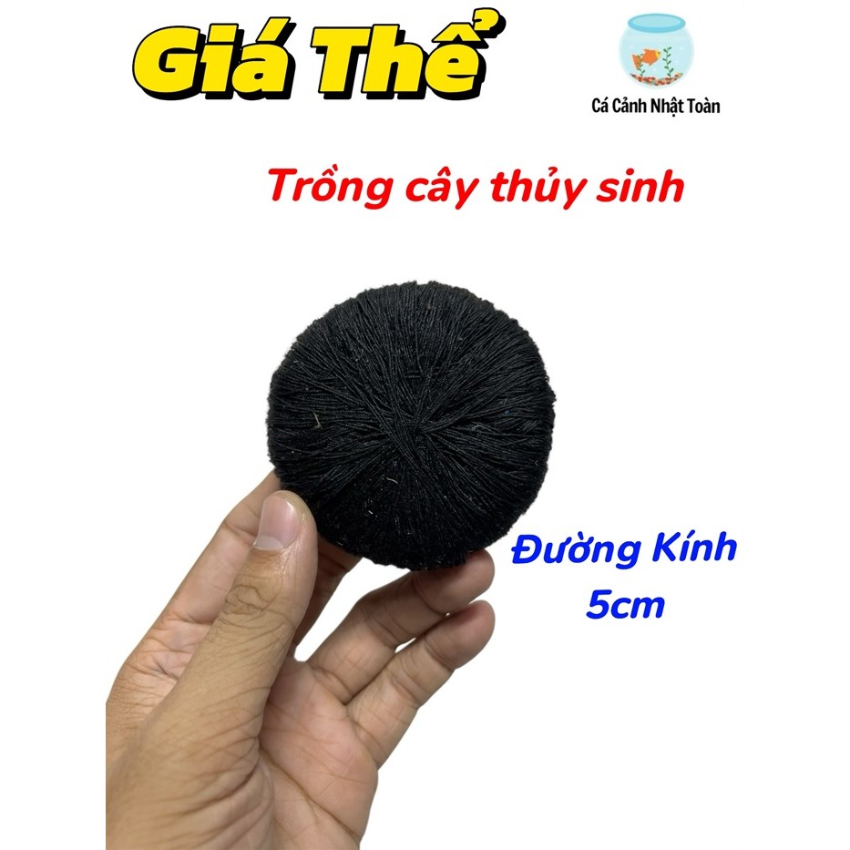 Giá Thể Cho Cây Cắt Cắm Thuỷ Sinh Đường Kính 5cm Giá Thể Tiểu Bảo Tháp