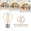 Bóng đèn LED OIMG E27 Dây tóc xoắn ốc Edison Đèn A60 trong suốt / nâu 2W 4W 6W 8W 12W 16W Tương đương 40W-100W Đèn sợi đốt trong suốt [mức năng lượng A + +]