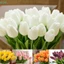 Hoa Tulip nhân tạo Bó hoa giả cảm ứng thực sự Trang trí tiệc cưới tại nhà [BK]