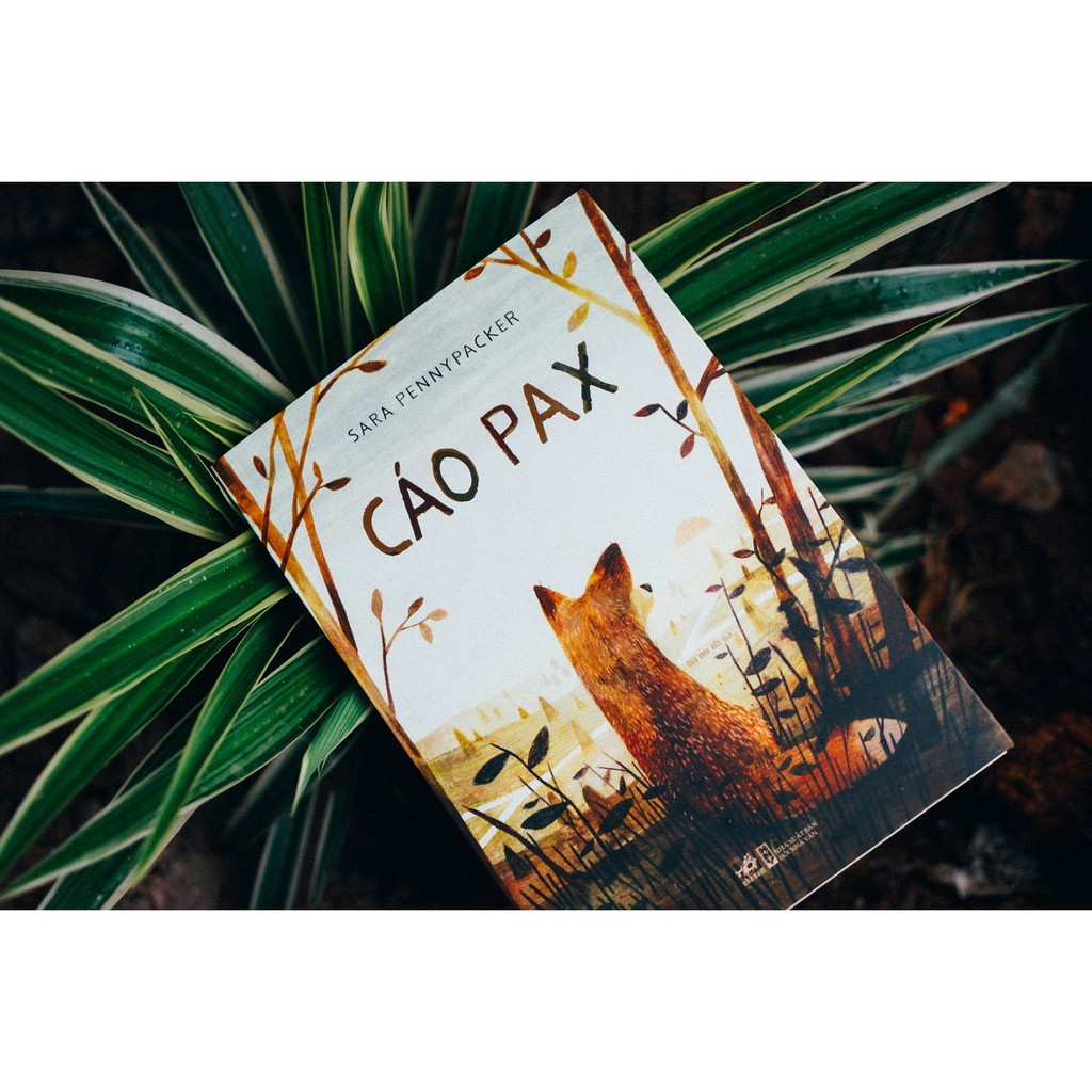 Ảnh Sách - Cáo Pax (Sara Pennypacker) (Nhã Nam) 1