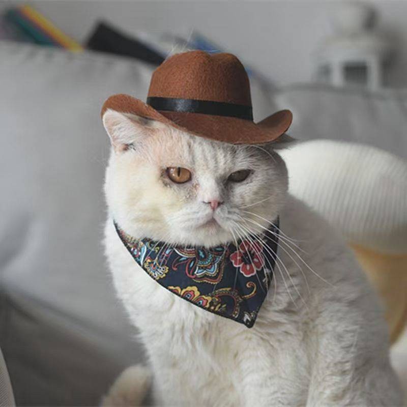 【Ready Stock】 Western Cowboy on the Run Cat Hat Dog Small Headwear Helmet Pet Photo Cute Cute Cute Mini 1YfM
