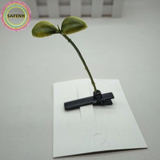SAFENH 5 Cái Dễ Thương Cỏ Vui Nhộn Đậu Mầm Lò Xo Kẹp Dễ Thương Nấm Anh Đào Phụ Kiện Tóc VN
