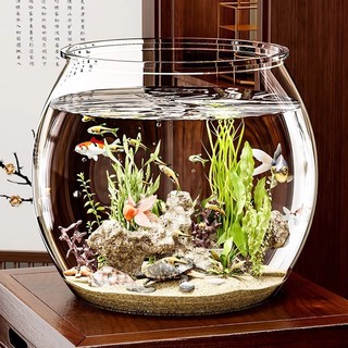 Bể Cá Nhựa Giả Thủy Tinh Chống Sốc Trong Suốt Văn Phòng Cá Vàng Nhỏ Bể Cá Micro Phong Cảnh Sinh Thái Cảnh Quan 24.11.6