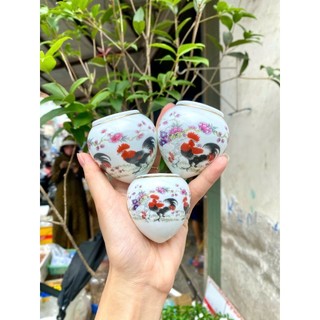 Bộ 3 chiếc cóng sứ decal loại 1 phụ kiện lồng chim Hoạ Mi, Khướu, chòe than, chòe lửa cao cấp