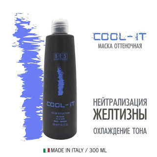 Dầu gội xả tím khử vàng cho tóc màu sáng, tóc bạc, trắng Bes Color Reflection - COOL IT 300mlx2 [ TN ]