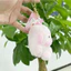 BH2 Dễ Thương Sanrio Hangyodon Sang Trọng Mặt Dây Chuyền Quà Tặng Cho Bạn Gái Ba Lô Trang Trí Móc Khóa Bộ Sưu Tập HB2