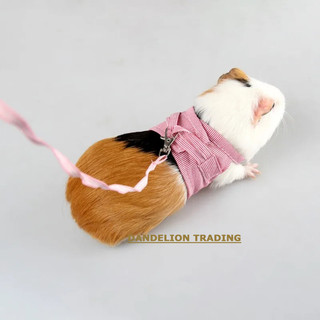 [DANDELION] Dây xích ngoài trời cho thú cưng, chuột đồng, bạch tuộc, sóc, chuột lang, dây nịt sọc cho thỏ nhỏ, quần áo cho chuột lang, quần áo cho chuột lang