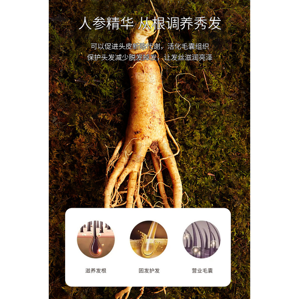 Xifei Chống Rụng Tóc Thuốc bổ Chăm sóc tóc Tinh chất Dầu Yao Plant Gừng Nhân sâm Chống rụng tóc Nuôi dưỡng Sản phẩm tăng trưởng chất lỏng 11.1