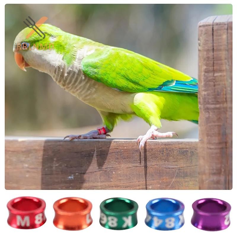 Rrlnmd 10 Chiếc Hợp Kim Chim Chân Nhẫn Bồ Câu Chân Với Số Ngoài Trời Công Cụ Huấn Luyện Chuyến Bay Thi Nhận Dạng Nhãn MỚI
