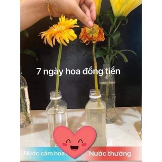 Nước cắm hoa 400ml giúp hoa tươi lâu, khử thối gốc, kích nở nụ, dùng cho mai đào tulip