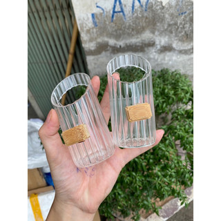 Cóng chống vẩy thuỷ tinh lồng chim chào mào, mi, khuyên, yến