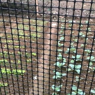 Lưới nhựa nguyên sinh dài 25M cao từ 1m,1m2,1m5 ô 3x4cm, lưới dùng làm hàng rào, chăn nuôi gà vịt