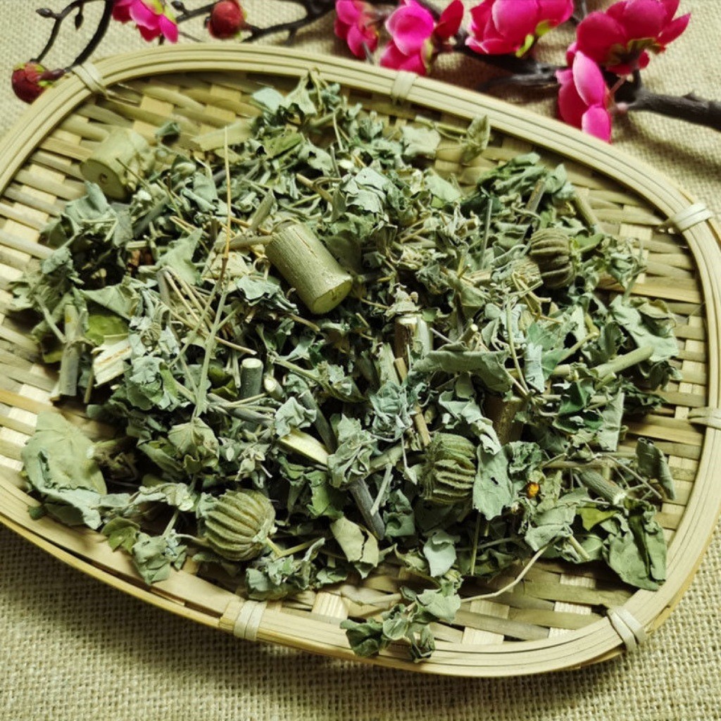 cây cối xay giúp làm m,át gan, giải độc