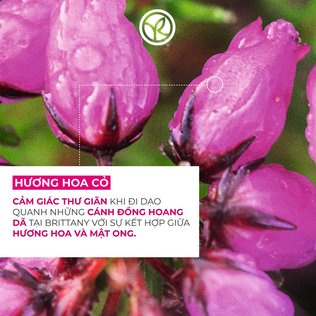 Ảnh Combo 2 sữa tắm hương hoa cỏ và hương biển Yves Rocher 400mlx2 3