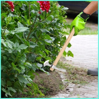 Pick s Hiệu quả Vườn Pick2 Trong 1 Mattock Garden Pick Hand Pick Thép không gỉ Đa chức năng Chọn antirtvn